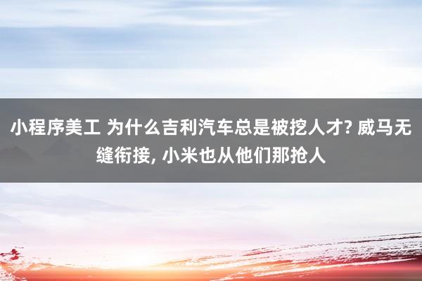 小程序美工 为什么吉利汽车总是被挖人才? 威马无缝衔接, 小米也从他们那抢人