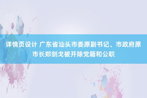 详情页设计 广东省汕头市委原副书记、市政府原市长郑剑戈被开除党籍和公职